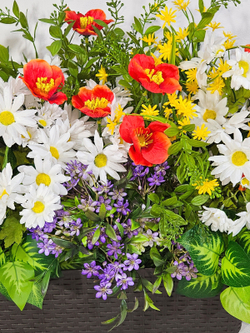 Ромашки и маки в длинном балконном ящике