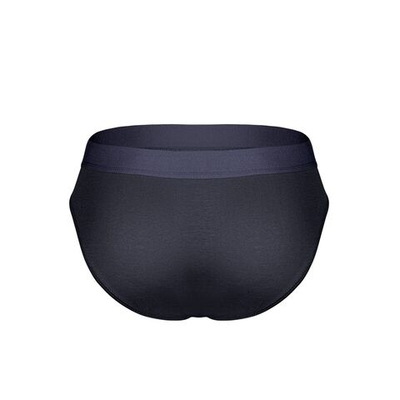 Антрацитовые бамбуковые трусы-брифы (Размер: L) (Цвет: темно-серый)