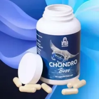 Chondro Boss Brash | Хондропротектор