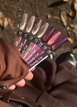 Гель-лак M&K Trendy Cat 14, 10мл.