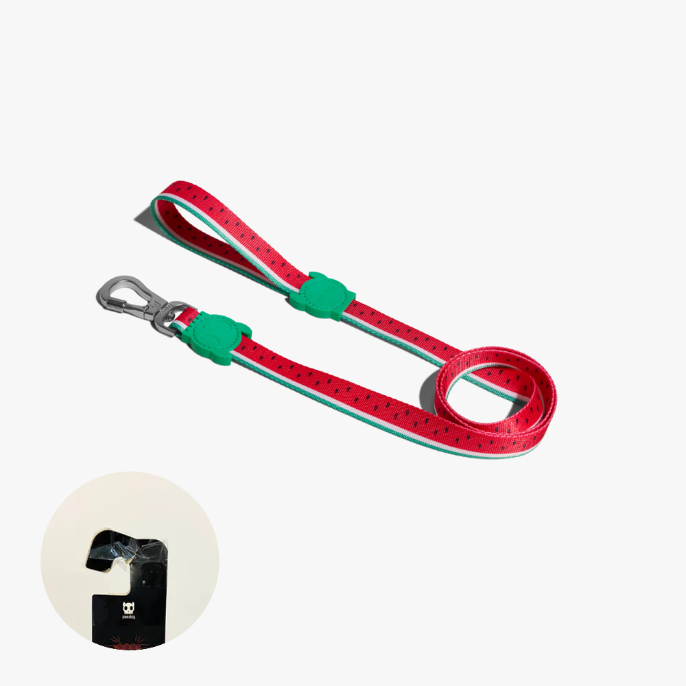 Поводок LOLA 120 см Zee.Dog (повреждена упаковка)