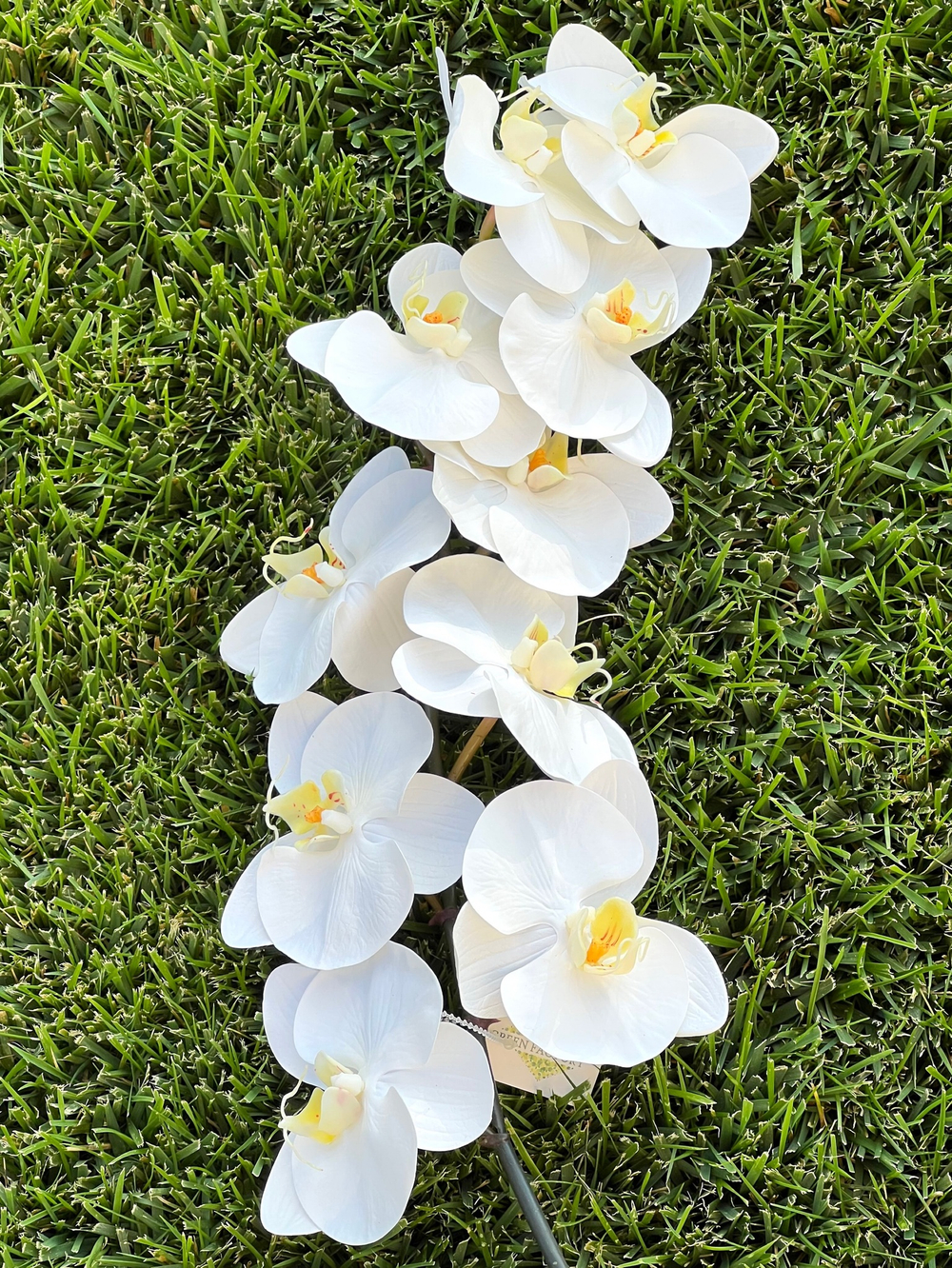 Орхидея фаленопсис белая 95 см