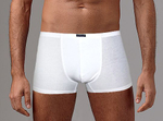 Однотонные тонкие трусы-боксеры (Размер: L) (Цвет: белый)