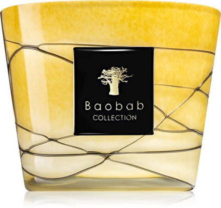 Baobab Collection Filo Oro - ароматическая свеча /  10 cm   / GTIN 5415198490734