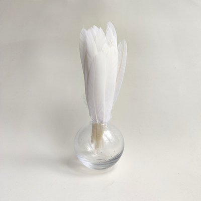 Перья утки белые 15 шт.