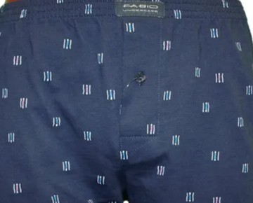 Боксеры мужские FABIO 04_5_31 105C