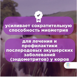 МОСАГРОГЕН Эндометрамаг-Т, раствор для внутриматочного введения, для КРС, 1 л. Гентамицин.
