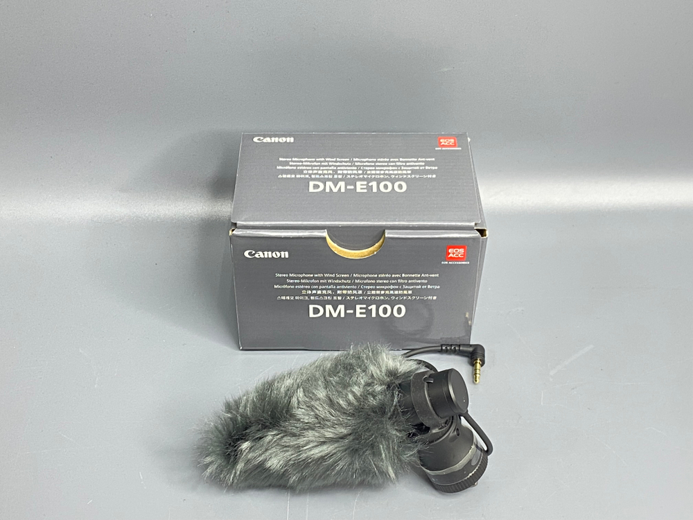 Canon DM E100