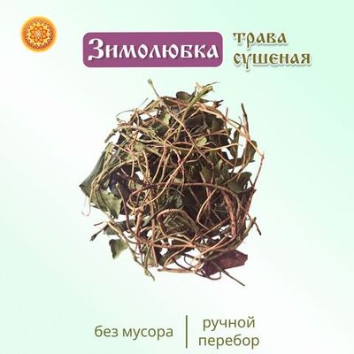 Зимолюбка трава.