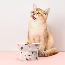 Керамическая миска для кошек и собак  PETKIT