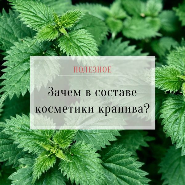 Зачем в составе косметики крапива?