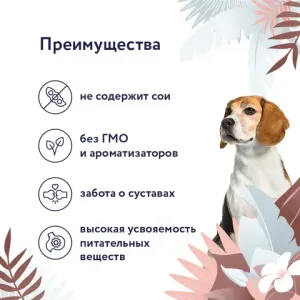 Консервы Florida Preventive Line Gastrointestinal для собак при расстройствах пищеварения, с кониной