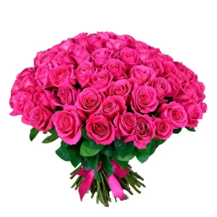 Роза "Пинк Флоид"