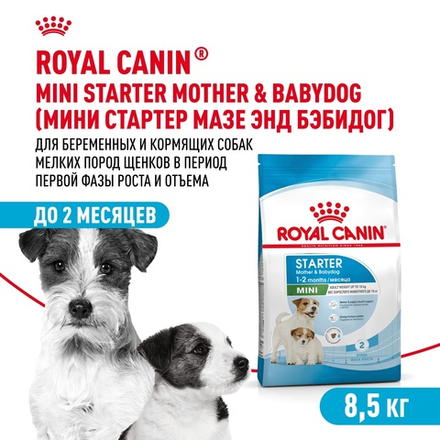 Royal Canin Mini Starter Мини Стартер Корм сухой для собак мелких пород в конце беременности в период лактации для щенков до 2-х месяцев 8,5кг
