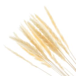 GAEM Ветка "Сухоцвет", набор из 15 шт, L7 W7 H67 см