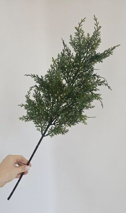 Ветка туи / Арт 5135