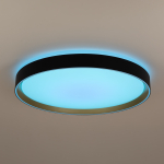 Потолочный светодиодный светильник Citilux Boss CL751451G LED RGB