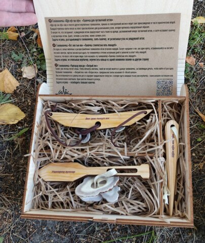 Набор головоломок "Облас"