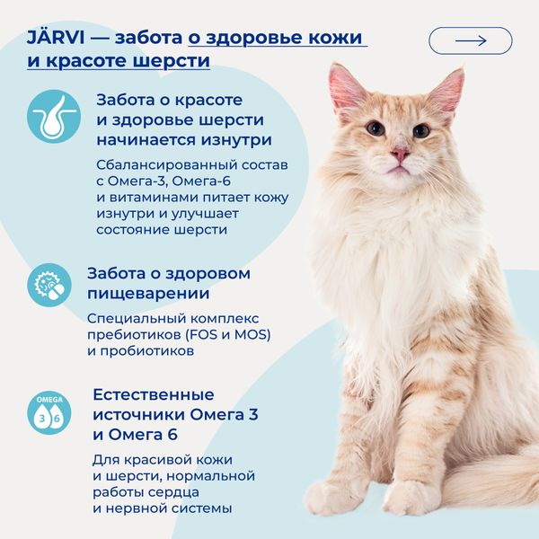 Уценка! Срок 25.08.26/ Сухой монопротеиновый корм Jarvi для взрослых кошек для здоровой кожи и красивой шерсти, говядина