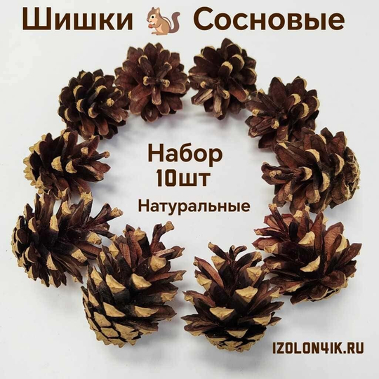 Шишки сосновые для поделок и декора 10 шт. (НАТУРАЛЬНЫЕ)