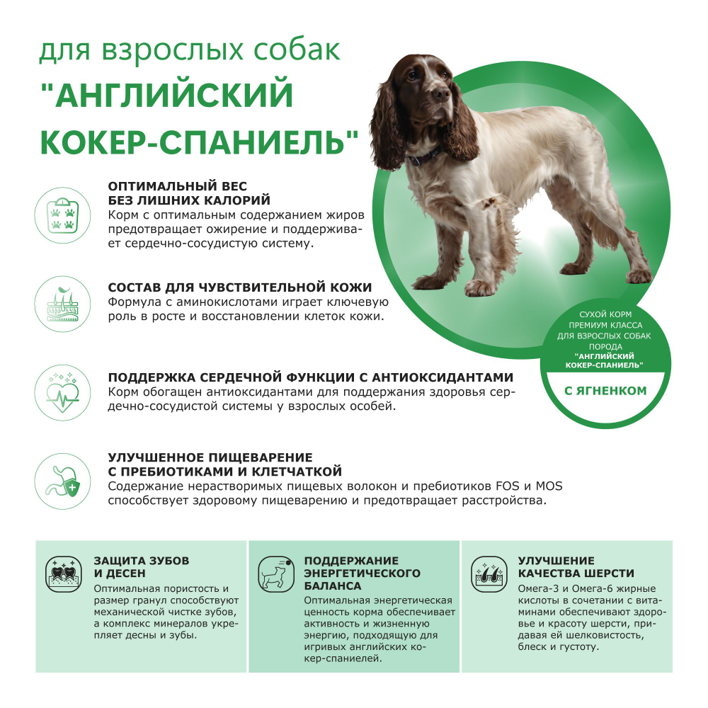 Корм сухой для взрослых собак породы Английский кокер-спаниель, с ягненком, 2.5 кг, QUATTRO