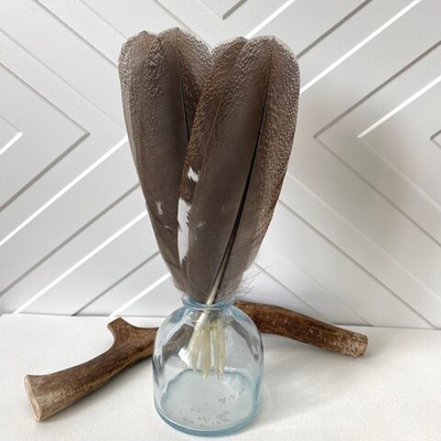 Перо глухаря 20-25 см