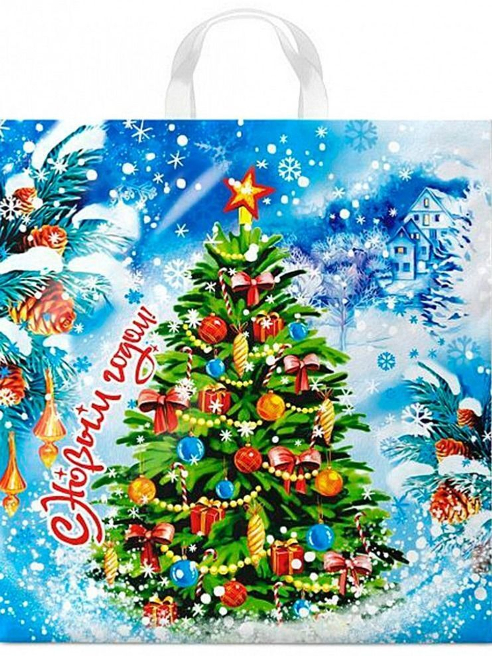 Пакет подарочный