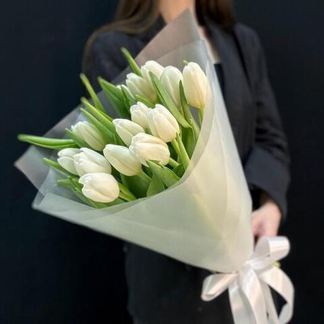 Белые тюльпаны