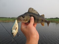 Легендарный Salmo Slider