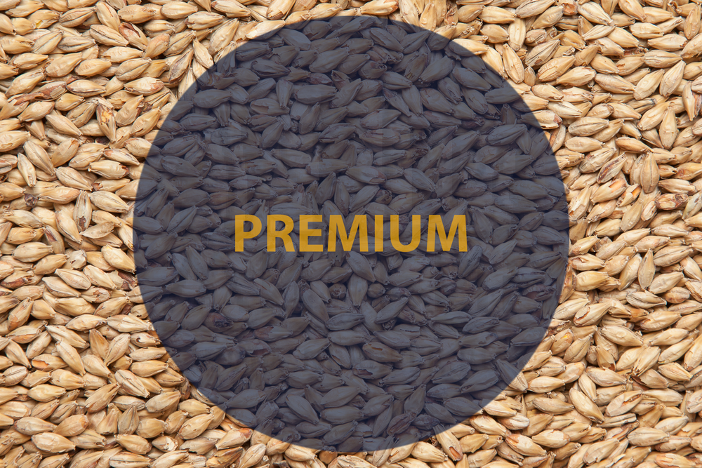 Курский солод PREMIUM Pilsner malt