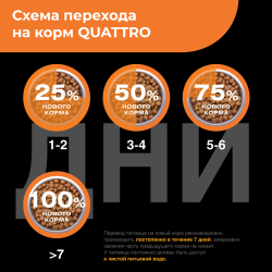 Корм сухой для взрослых собак породы Хаванез, с индейкой, 2,5 кг, QUATTRO