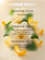 Парфюмерная отдушка Prof-Royal Bamboo, для свечей, мыла, диффузоров, ваниль, бергамот, 5мл