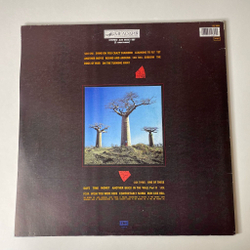 Винтажная виниловая пластинка LP Pink Floyd Delicate Sound Of Thunder (СССР 1990) Another Brick In The Wall