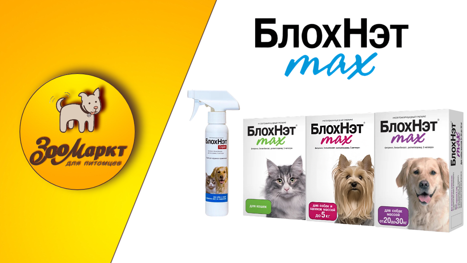 Акция БлохНэт