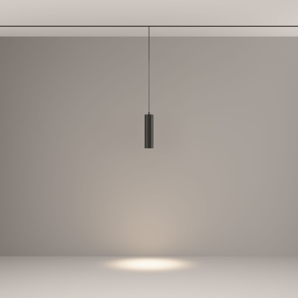 Трековый подвесной светильник Technical TR041-2-12W4K-B