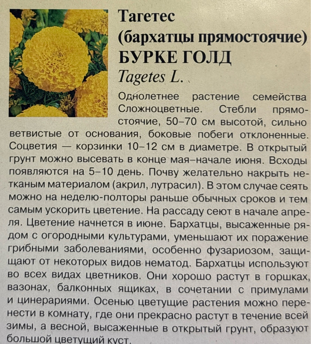 Бархатцы Бурке Гольд прям. 0,3 г СМЦ-455