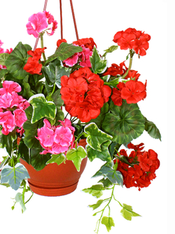 Искусственное растение Герань густая красно-малиновая в подвесном коричневом кашпо