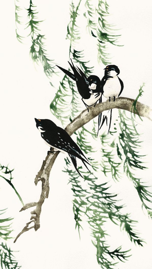 Floraiku In The Rain