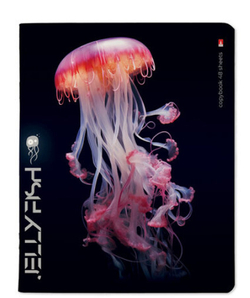 Тетрадь 48 л. БРУНО ВИСКОНТИ Медузы фентези (7-48-1331)