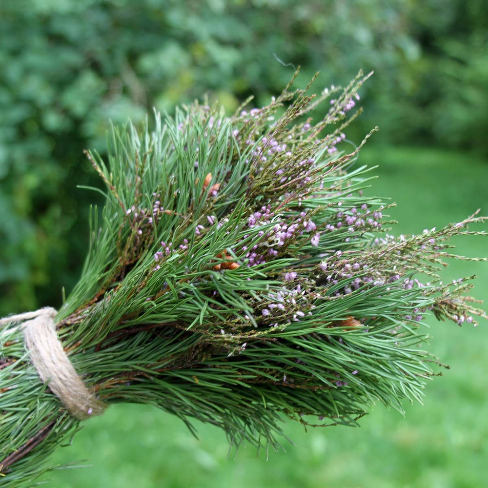 Букет сухоцветов 30х30 см - Хвойный