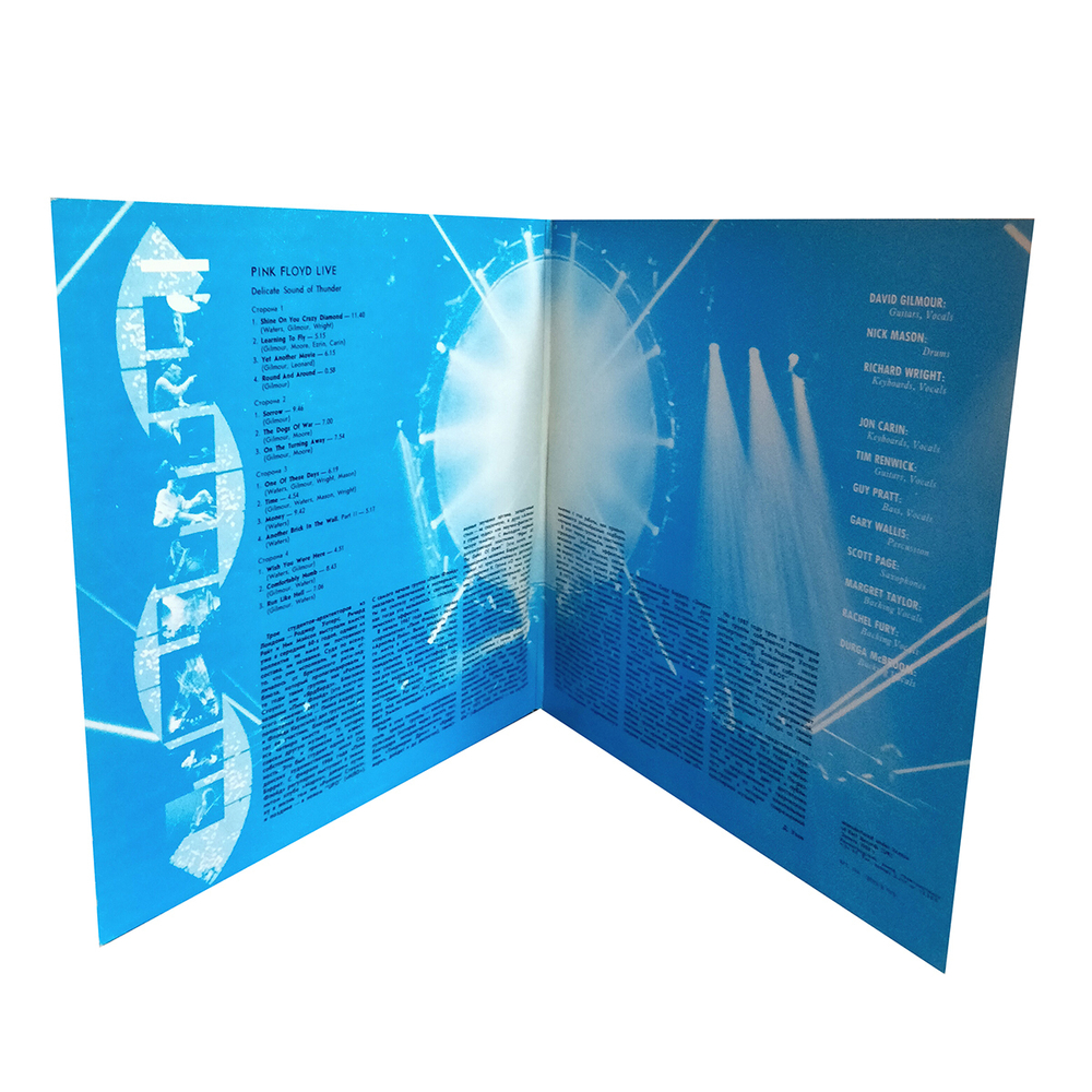 Pink Floyd / Delicate Sound Of Thunder (2LP)