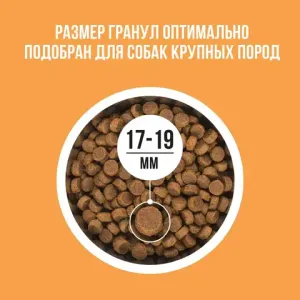 Сухой корм BOWL WOW для собак крупных пород с индейкой, курицей, рисом и тыквой  Сухой корм BOWL WOW для собак крупных пород с индейкой, курицей, рисом и тыквой