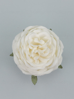 Голова пионовидной розы Дебора