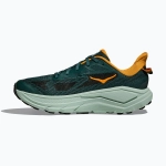 Кроссовки для бега HOKA Challenger 8 bay leaf/sage