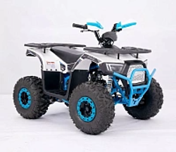 Квадроцикл YACOTA SIRIUS 110