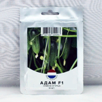Адам F1 семена огурца партенокарпического (Bejo /ALEXAGRO)