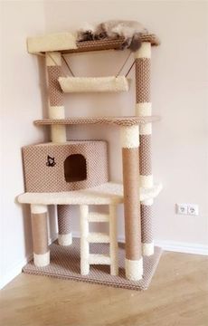 Дом для кота И-88 (мейн-кун)