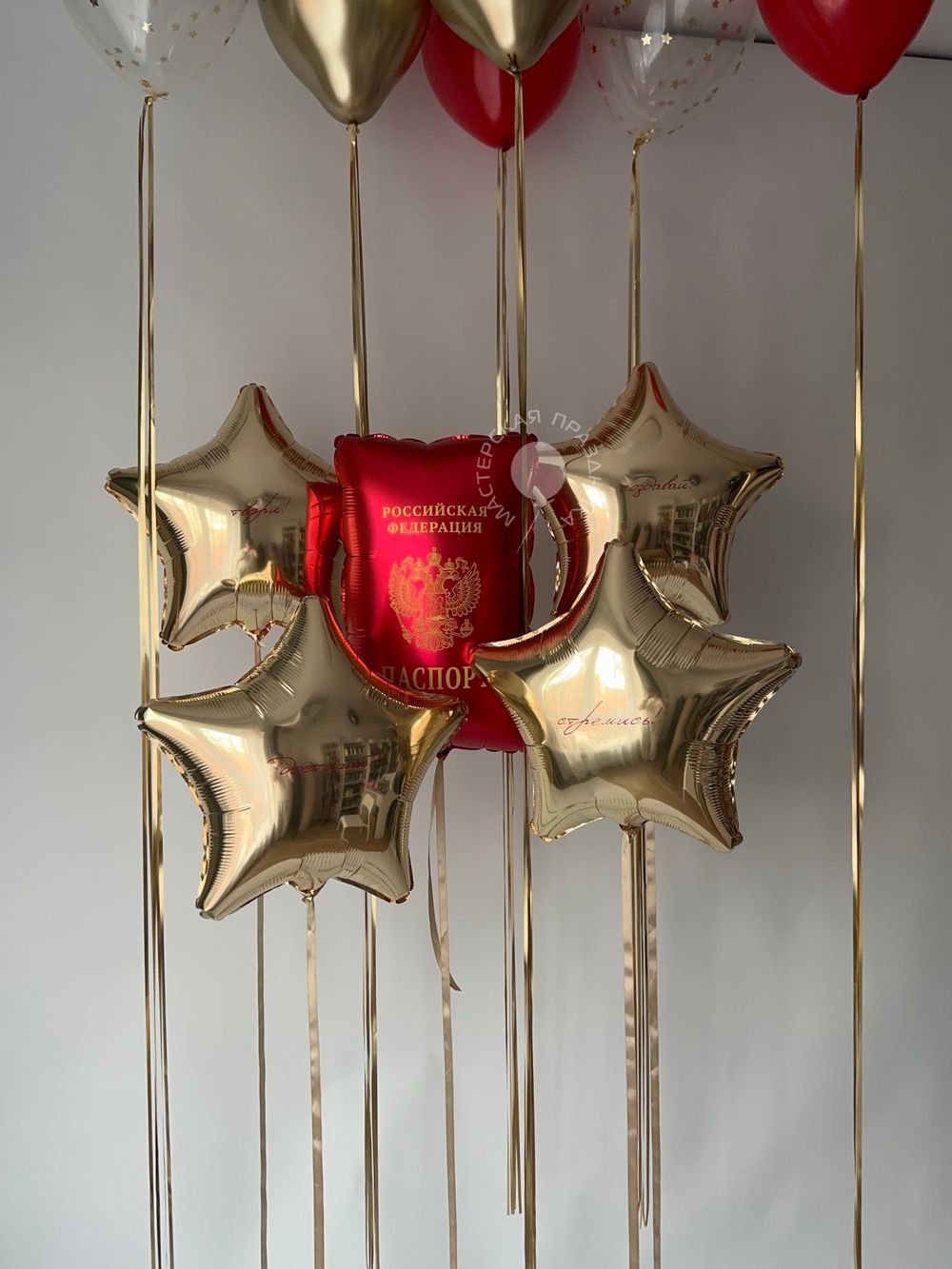 Воздушные шары Паспорт №8816 