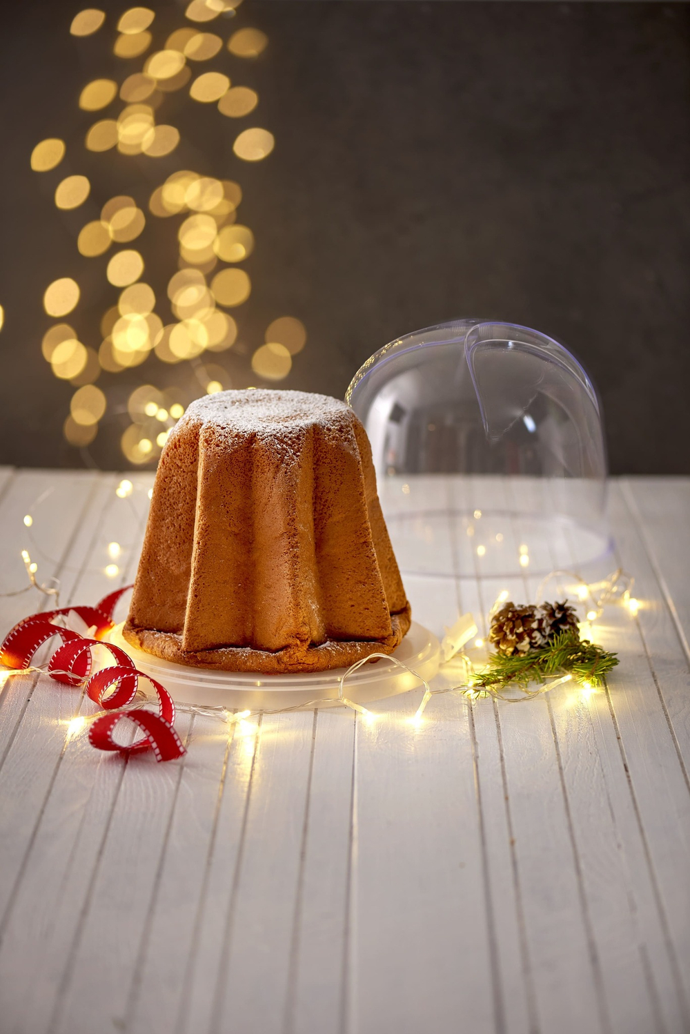 Контейнер для кулича 27x26x22см SNIPS