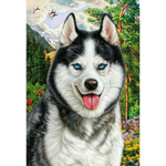 Алмазная мозаика квадратная 22x32см. "Портрет хаски" с подр.полн.заполн. 24цв. Арт. НД-8554